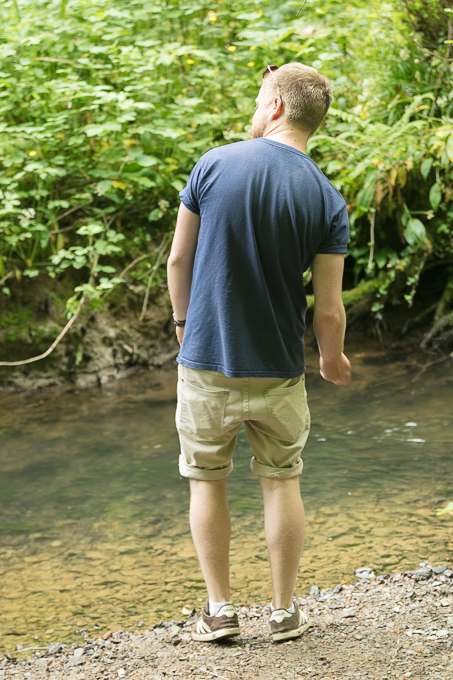 Tintern June 2018 (002)